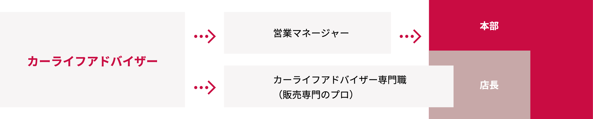 カーライフアドバイザー→営業マネージャー→本部・店長