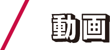 動画